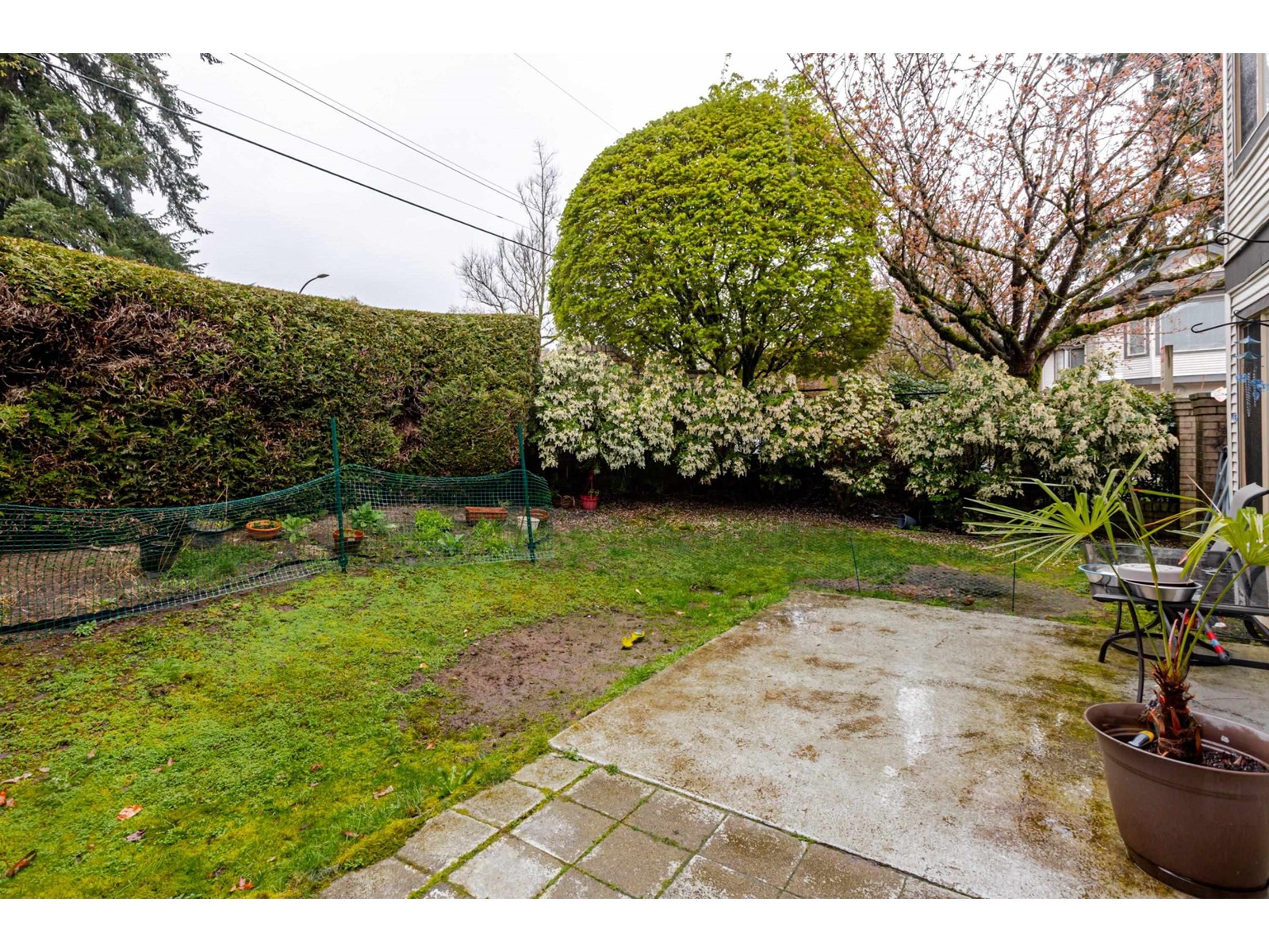 Photo 7 of 51 15840 84 Avenue, Surrey BC