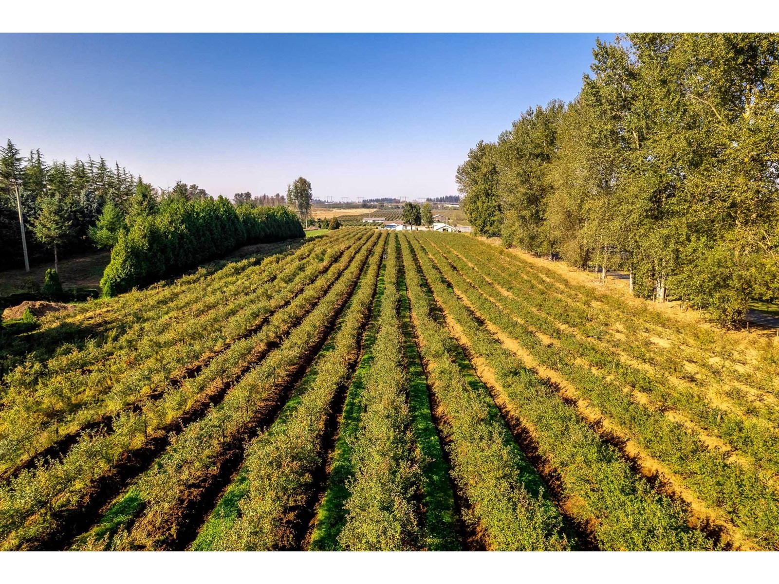 Photo 3 of 2034 Bradner Road, Abbotsford BC