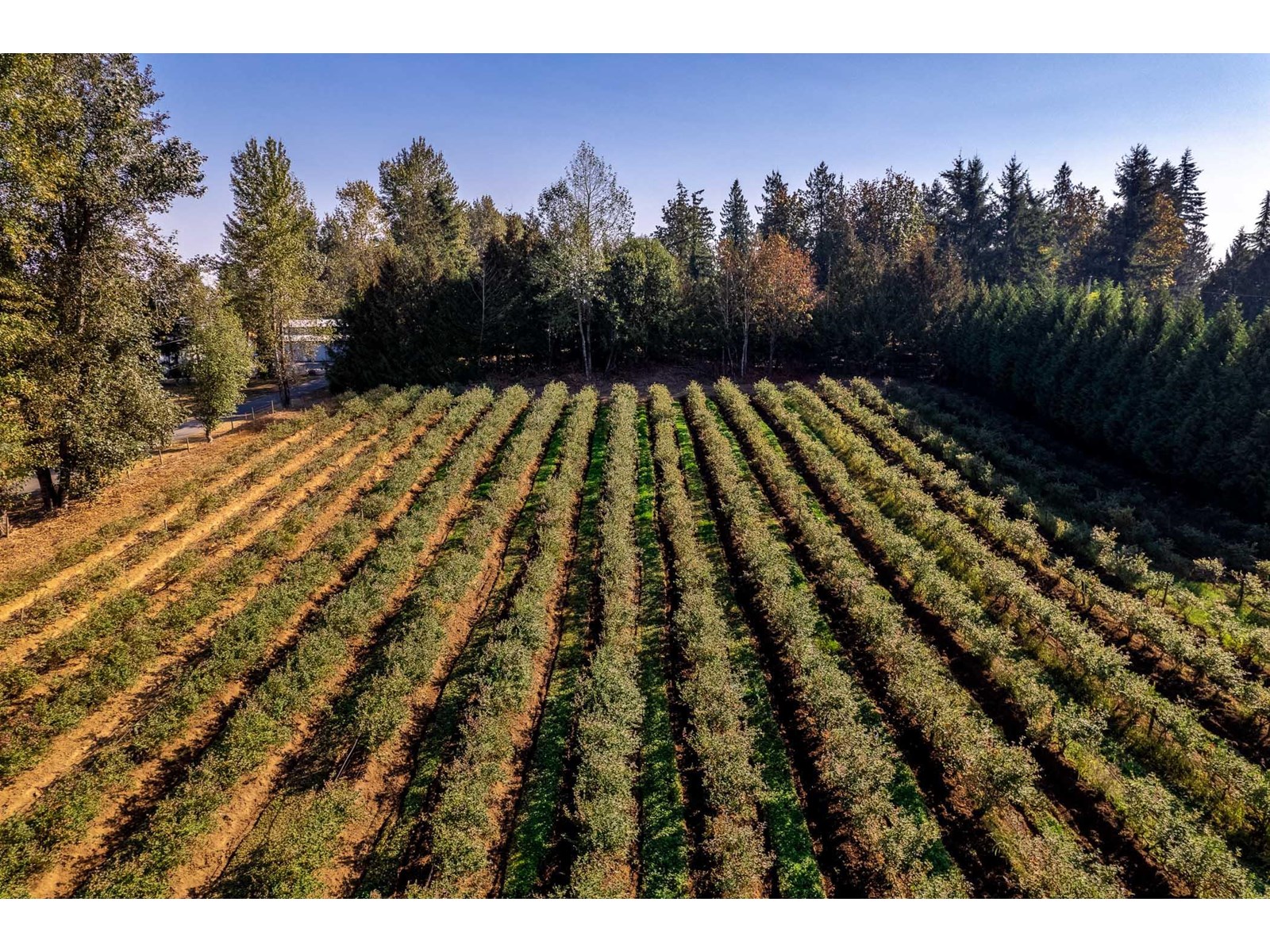 Photo 28 of 2034 Bradner Road, Abbotsford BC