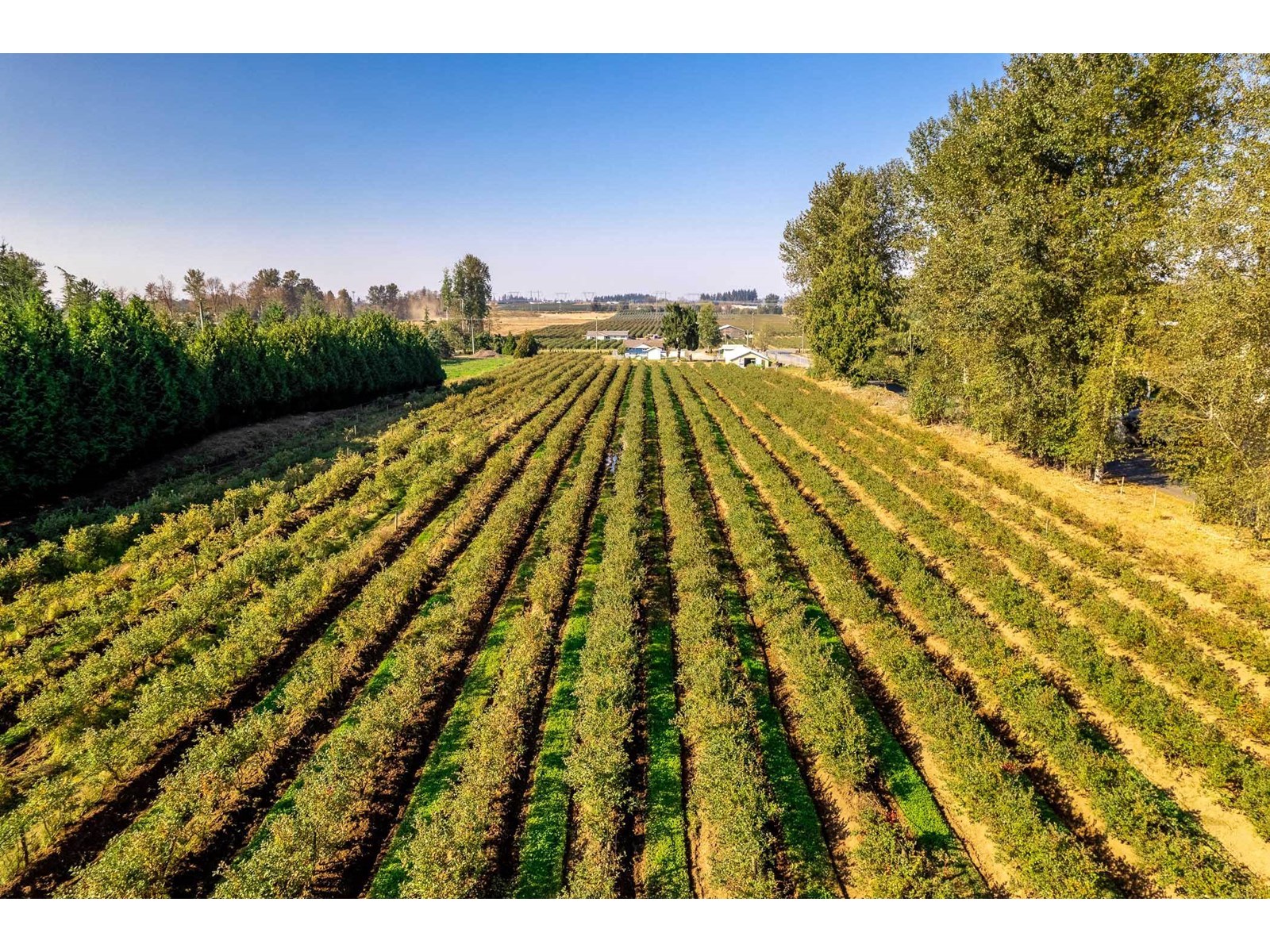 Photo 20 of 2034 Bradner Road, Abbotsford BC