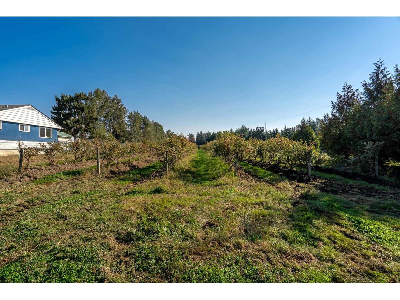 Photo 1 of 2034 Bradner Road, Abbotsford BC