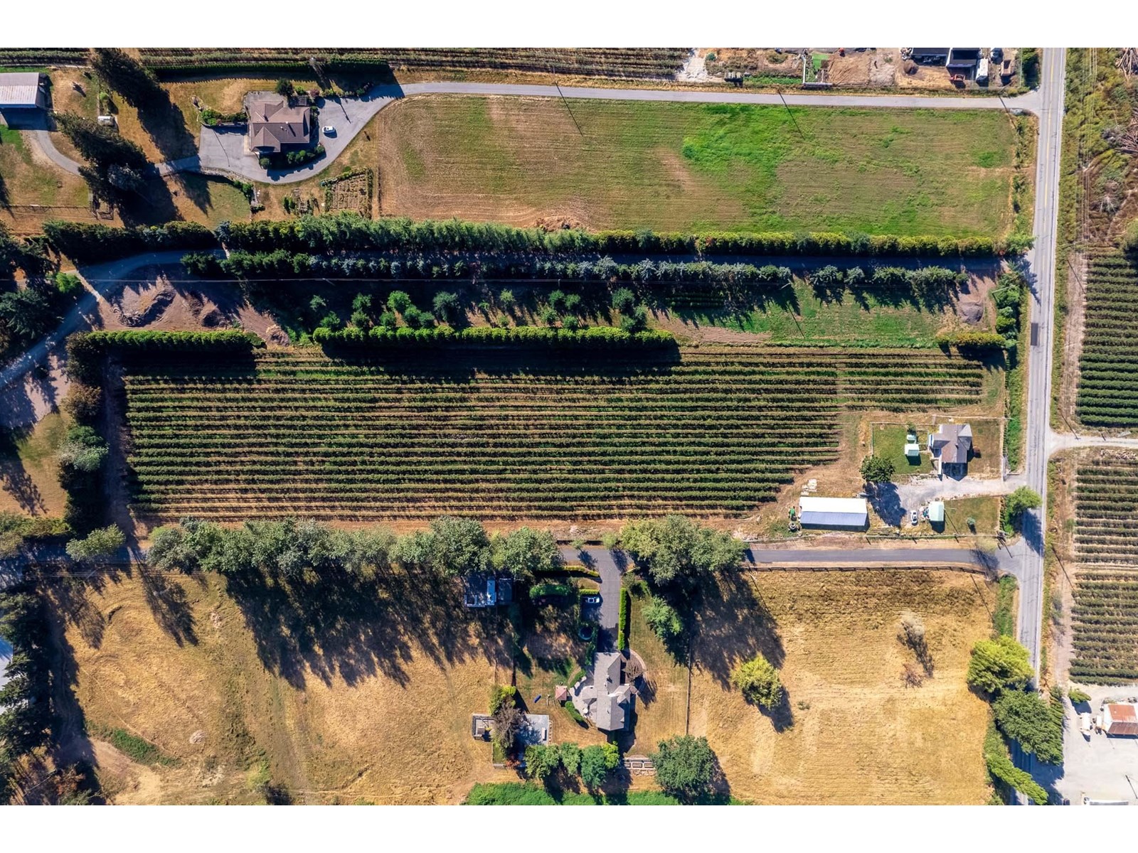 Photo 38 of 2034 Bradner Road, Abbotsford BC