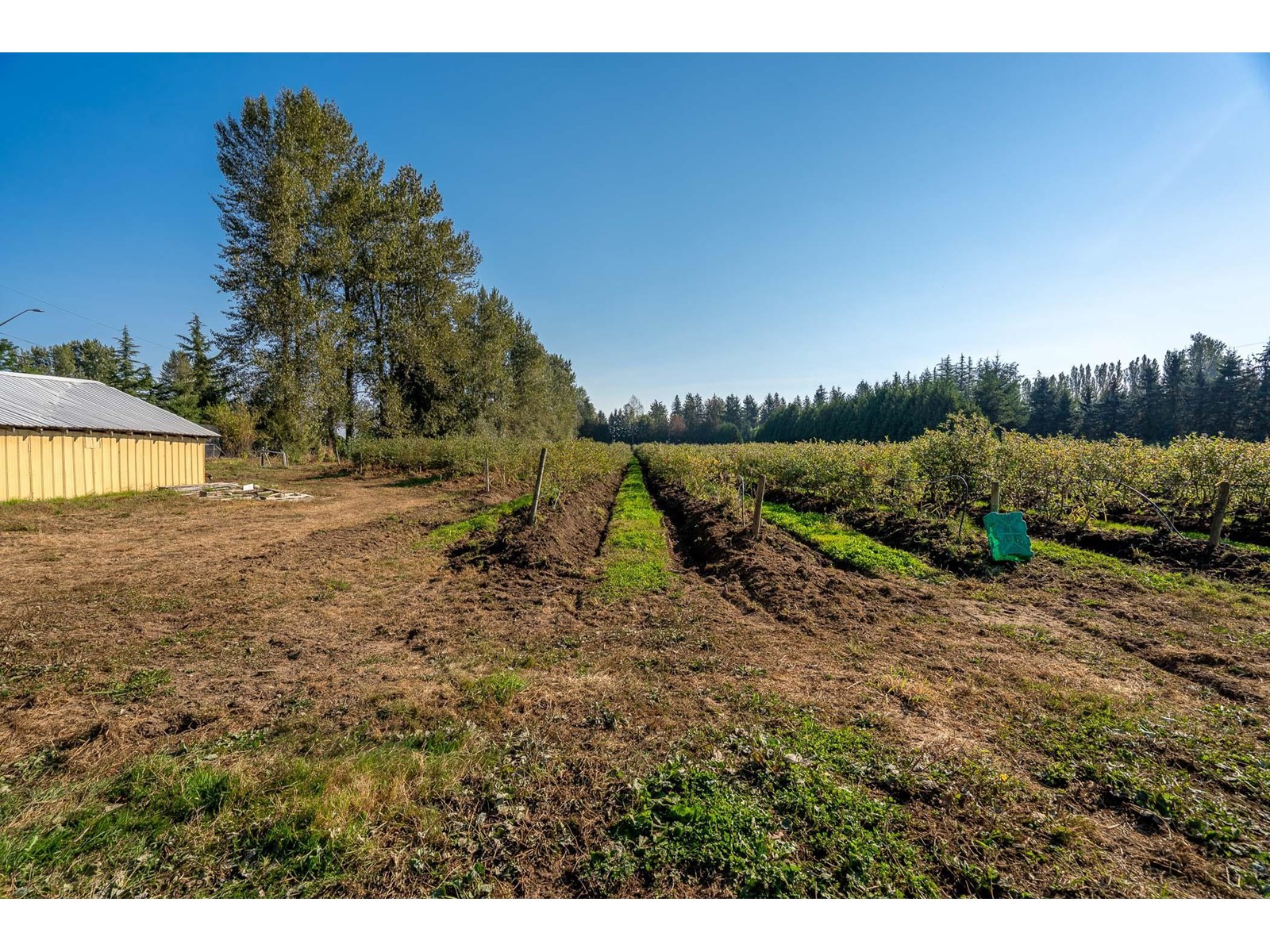 Photo 22 of 2034 Bradner Road, Abbotsford BC