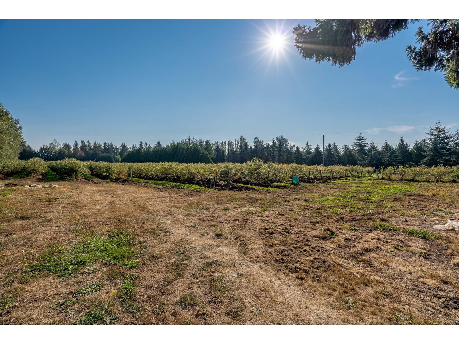 Photo 29 of 2034 Bradner Road, Abbotsford BC