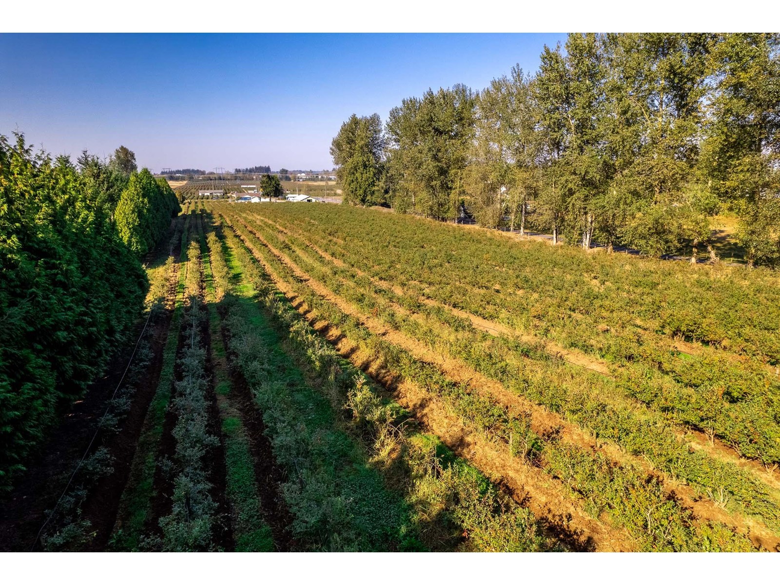 Photo 12 of 2034 Bradner Road, Abbotsford BC
