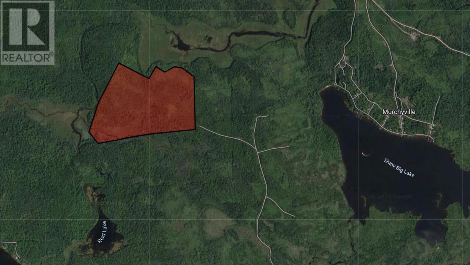 Property photo of Lot 1 Shaw Big Lake