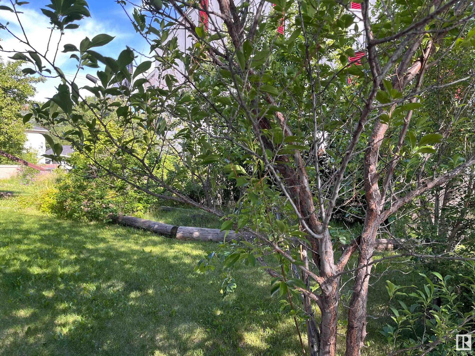 Photo 5 of 11910 76 St Nw, Edmonton AB