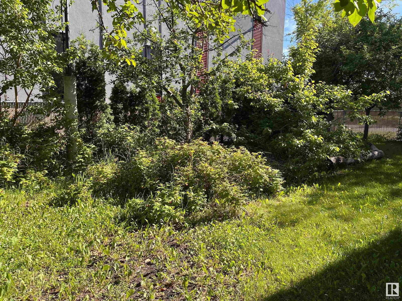Photo 4 of 11910 76 St Nw, Edmonton AB