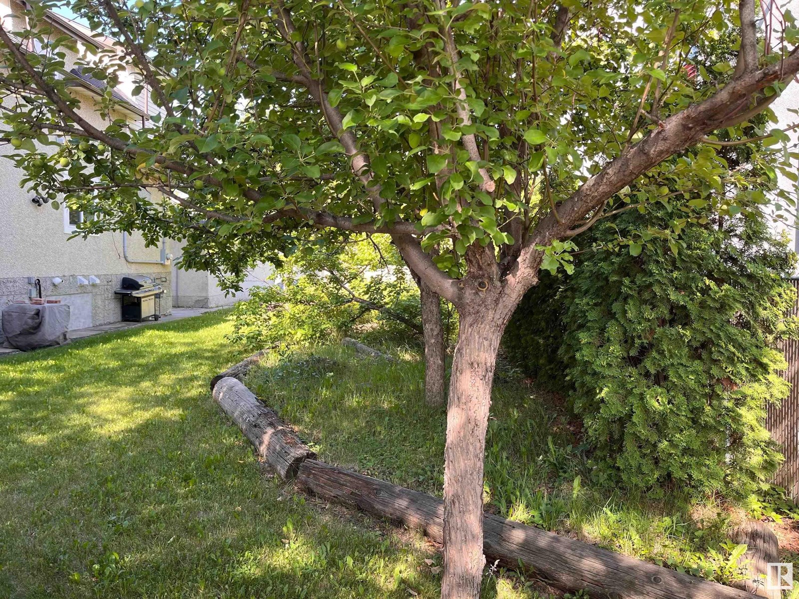 Photo 2 of 11910 76 St Nw, Edmonton AB