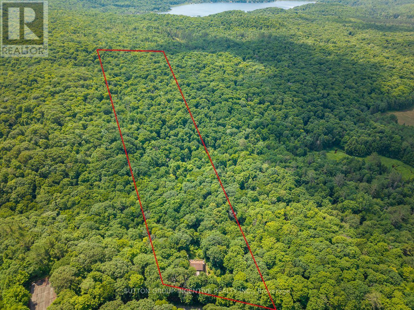 Photo 8 of 806 Clearwater Lake Road, Huntsville ON