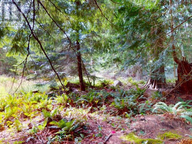 1508 SAVARY ISLAND ROAD, Savary Island