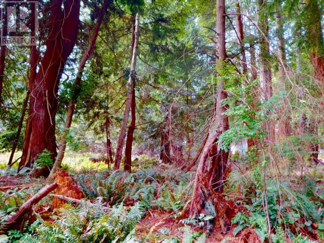 1508 SAVARY ISLAND ROAD, Savary Island