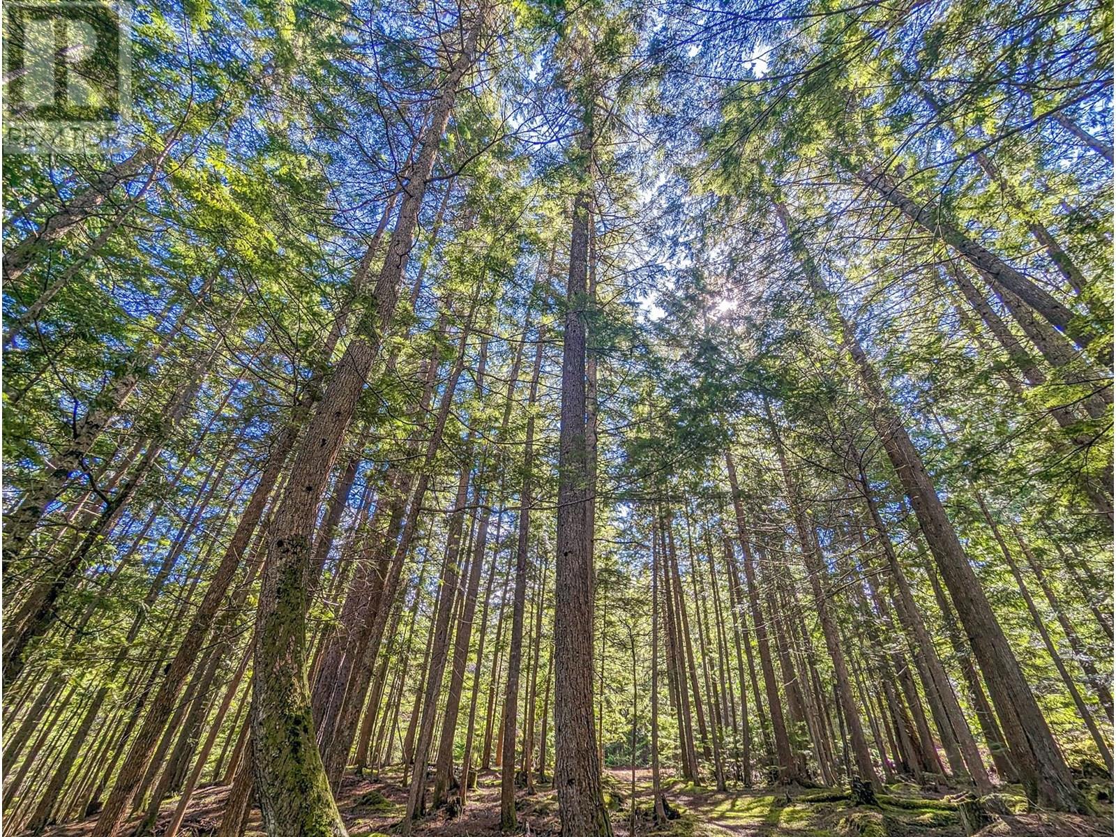 15730 PETERS Road, Crawford Bay