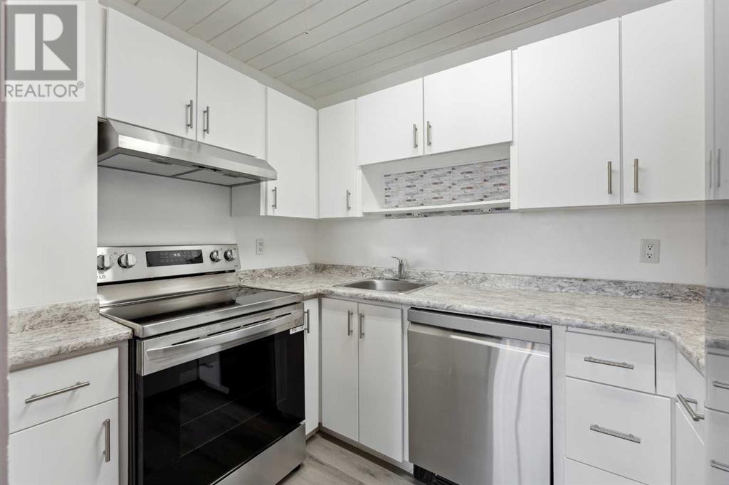 Single Family House Bi-level for Sale in E   Street SE Forest Lawn Calgary 