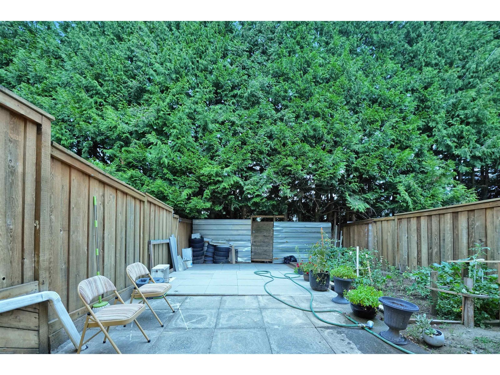 Photo 2 of 33 3075 Trethewey Street, Abbotsford BC