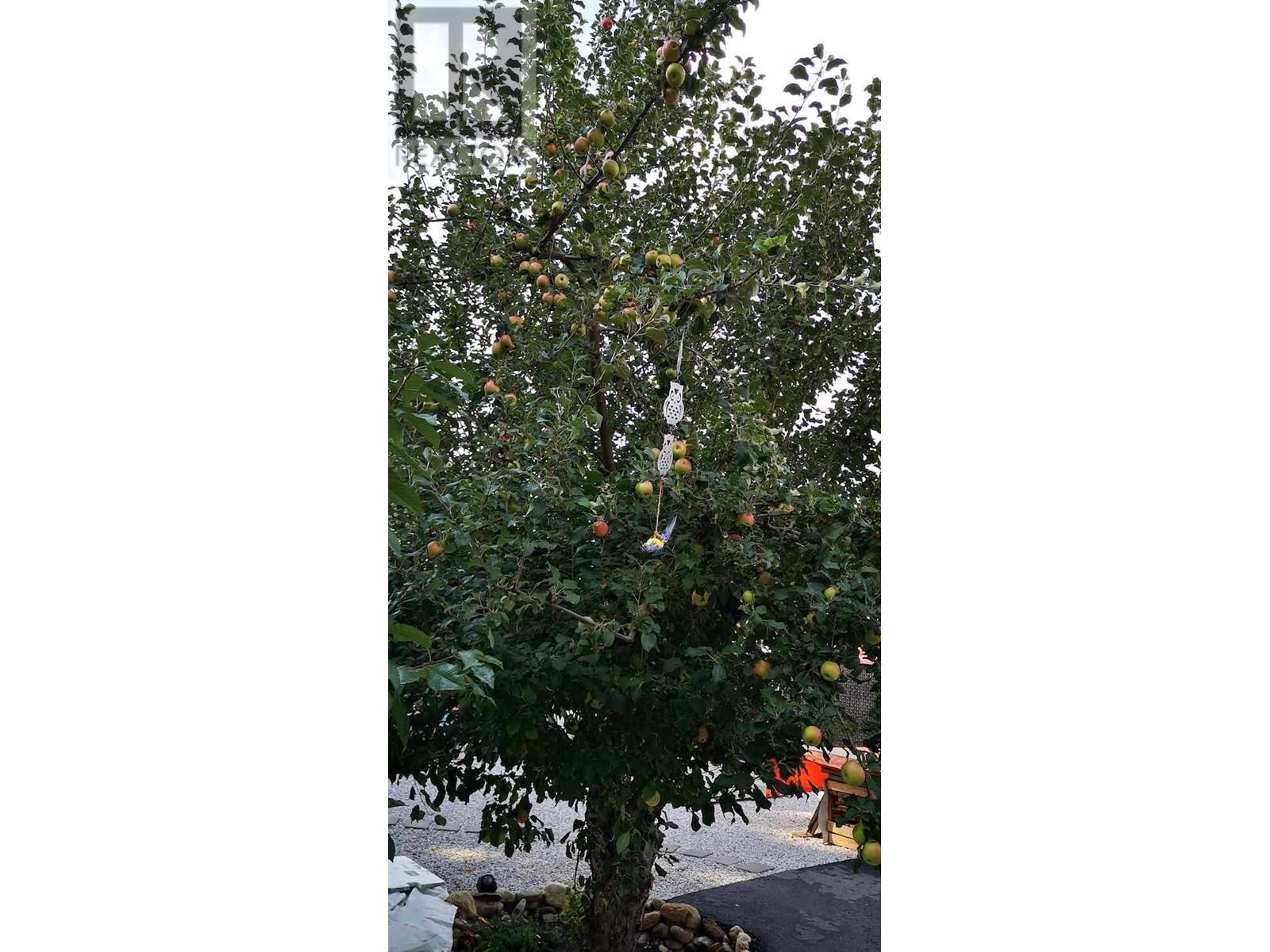  409 Polson Avenue, Enderby