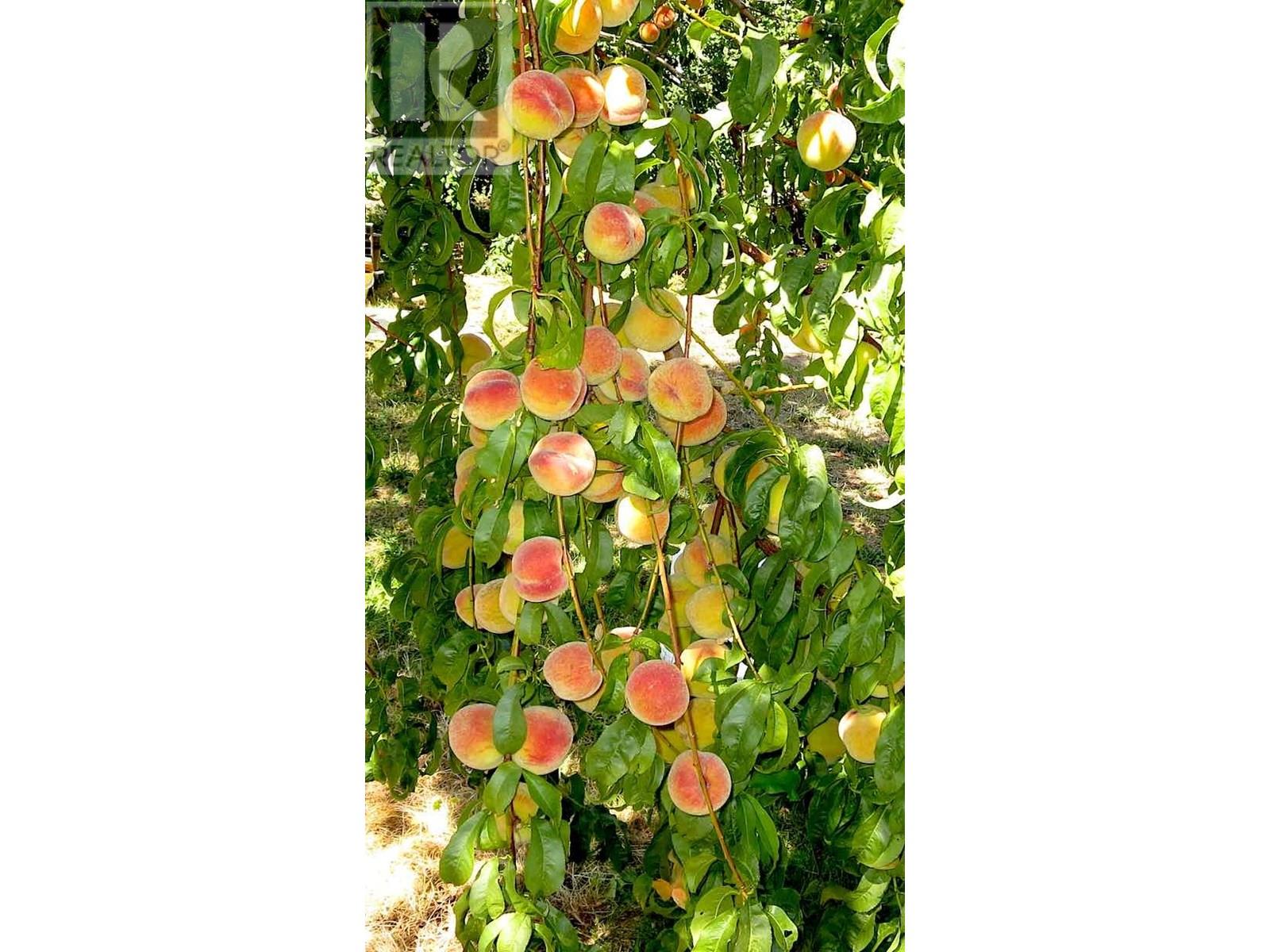  409 Polson Avenue, Enderby