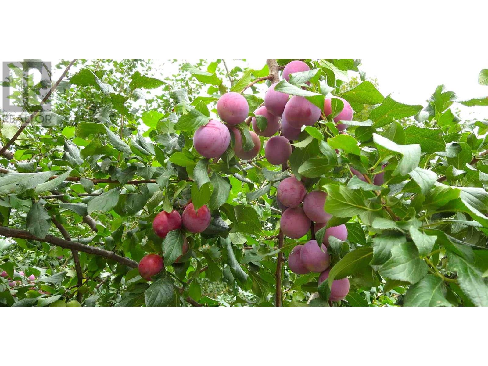  409 Polson Avenue, Enderby