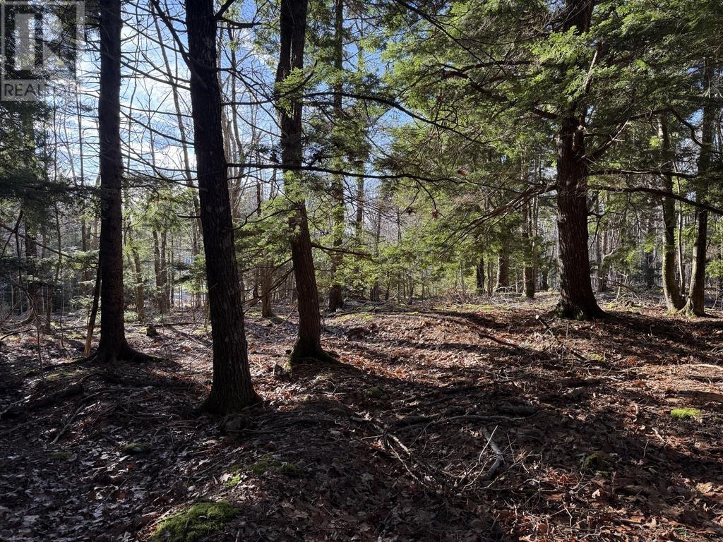 Property 3 of 7 of Lot Conquerall Mills Road