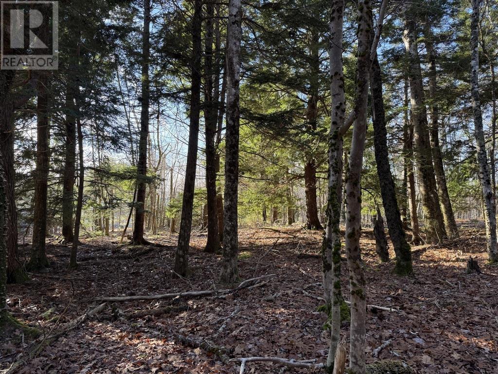 Property 5 of 7 of Lot Conquerall Mills Road