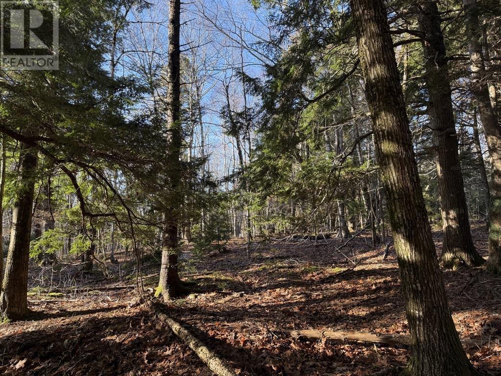 Property 7 of 7 of Lot Conquerall Mills Road