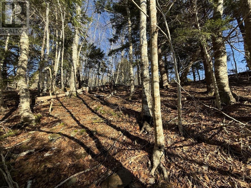 Property 6 of 7 of Lot Conquerall Mills Road