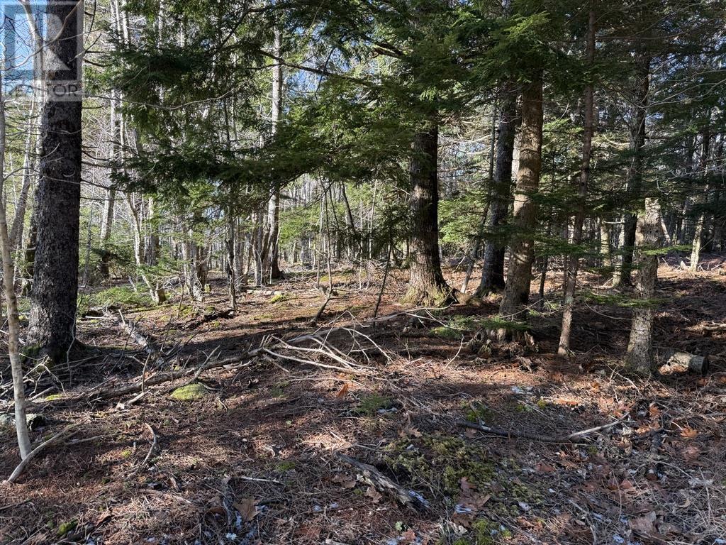 Property 4 of 7 of Lot Conquerall Mills Road