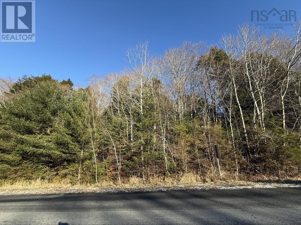 Property photo of Lot Conquerall Mills Road