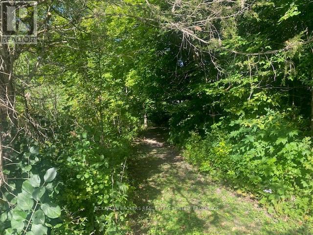 Photo 11 of 000 County Rd 11 Jones Falls Road, Rideau Lakes ON