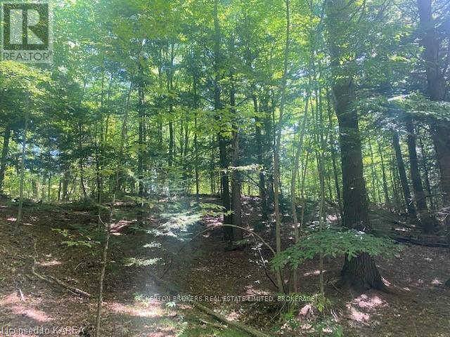 Photo 1 of 000 County Rd 11 Jones Falls Road, Rideau Lakes ON