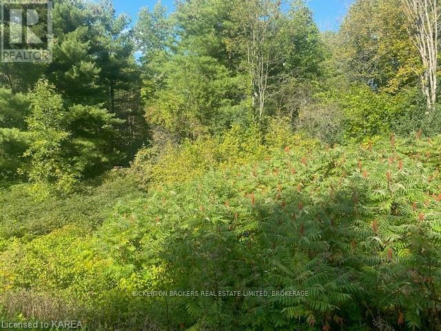 Photo 2 of 000 County Rd 11 Jones Falls Road, Rideau Lakes ON