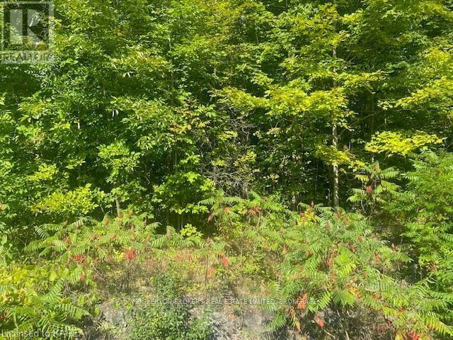 Photo 13 of 000 County Rd 11 Jones Falls Road, Rideau Lakes ON