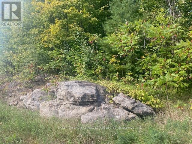 Photo 4 of 000 County Rd 11 Jones Falls Road, Rideau Lakes ON