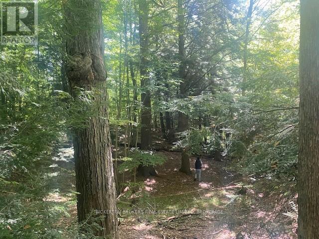 Photo 9 of 000 County Rd 11 Jones Falls Road, Rideau Lakes ON