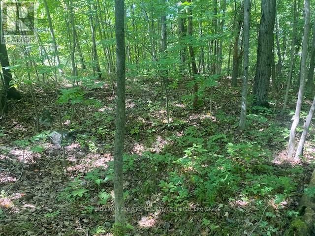 Photo 5 of 000 County Rd 11 Jones Falls Road, Rideau Lakes ON