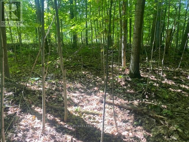 Photo 10 of 000 County Rd 11 Jones Falls Road, Rideau Lakes ON
