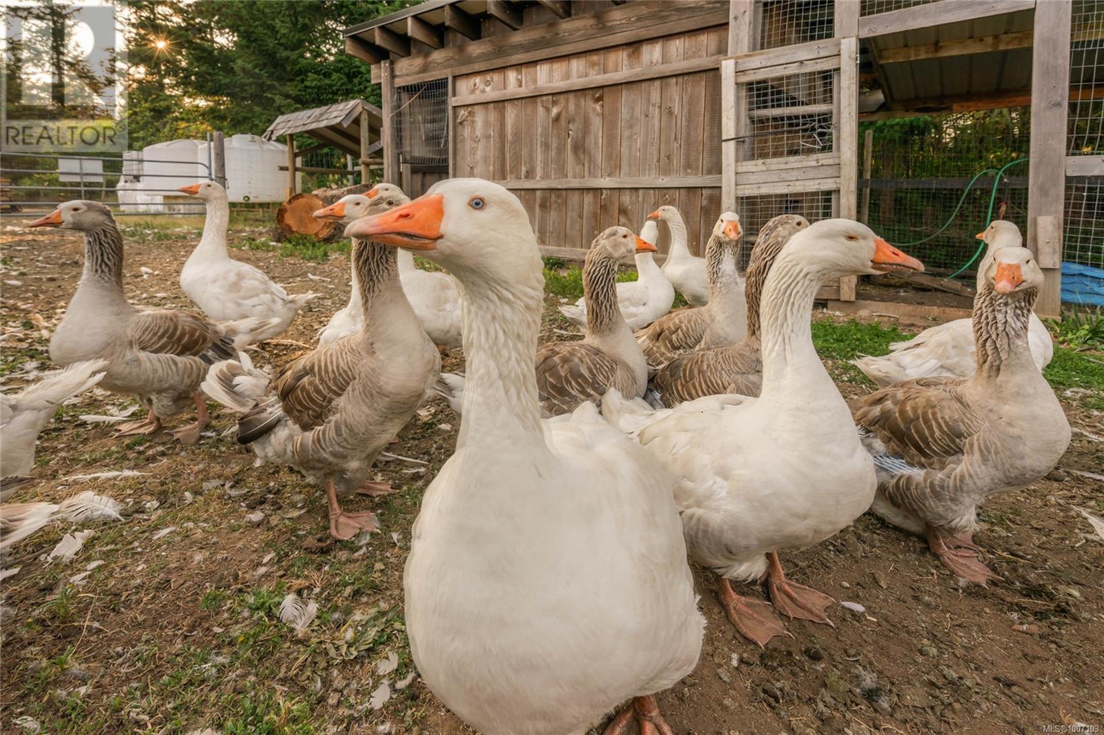 2400 ANDERTON RD - 40