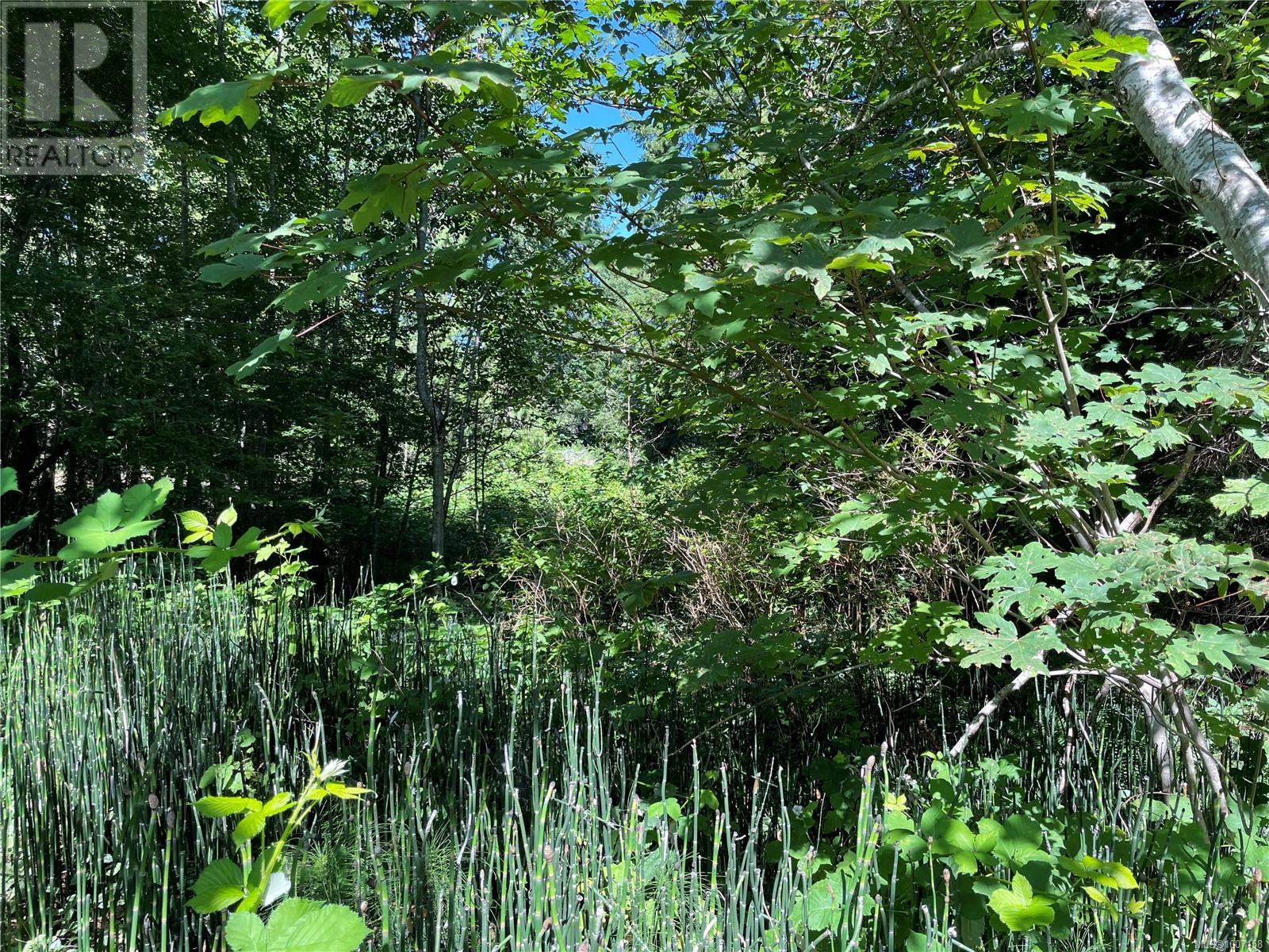 Photo 5 of Lot A 375 Horne Lake Rd, Qualicum Beach BC