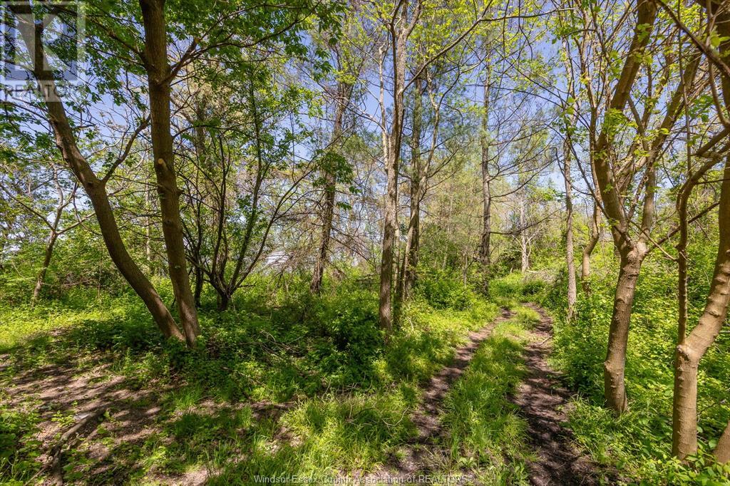 Photo 39 of 16660 Couture Beach, Lakeshore ON