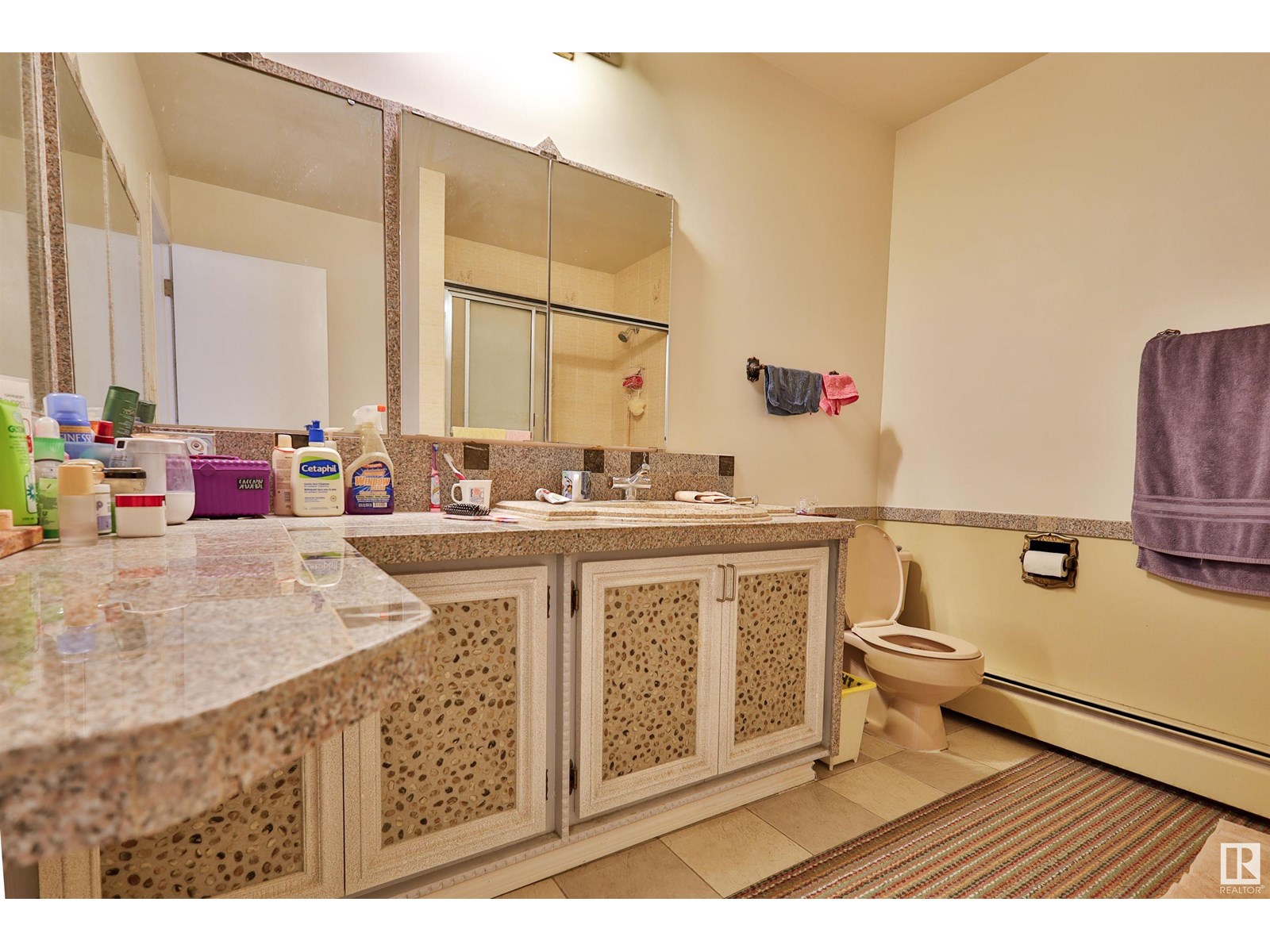 Photo 41 of 15808 100 St Nw, Edmonton AB