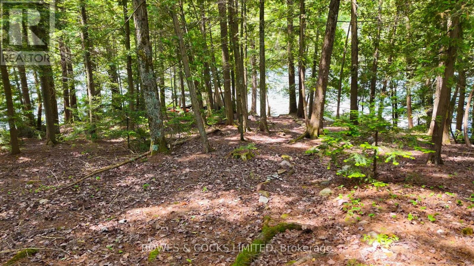 Photo 25 of 1117 Thunderbird Lane Birch Island, Highlands East ON