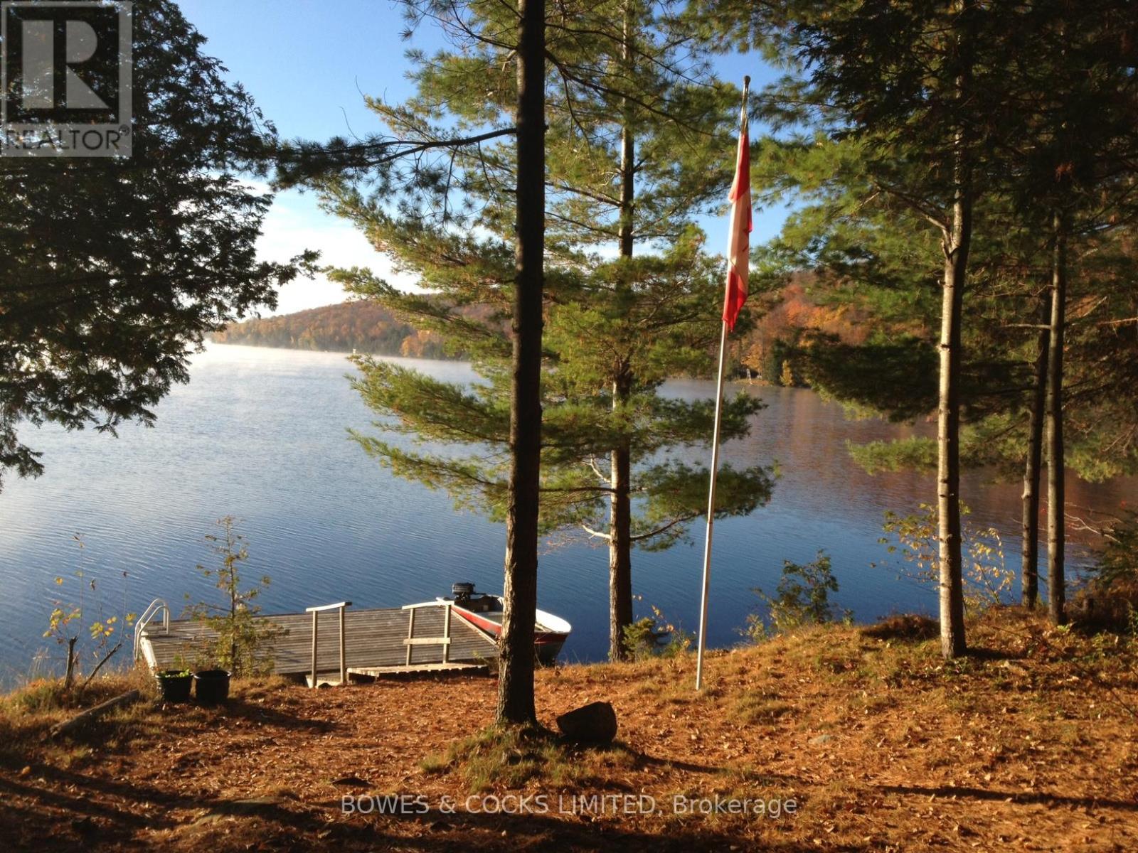 Photo 50 of 1117 Thunderbird Lane Birch Island, Highlands East ON