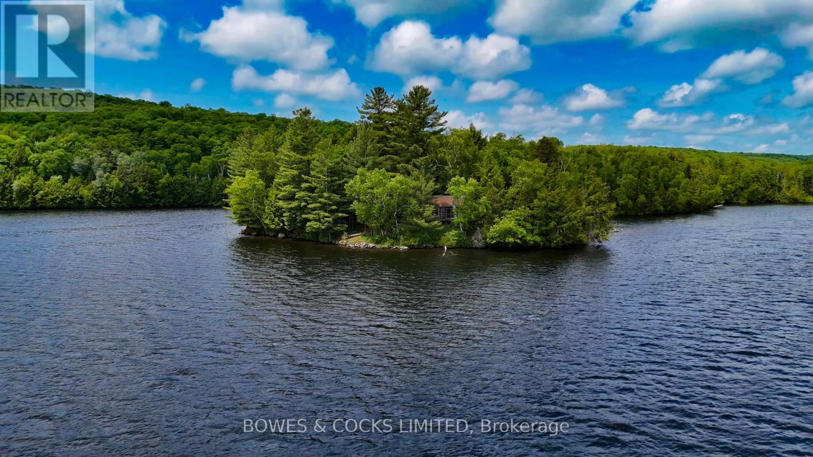 Photo 40 of 1117 Thunderbird Lane Birch Island, Highlands East ON