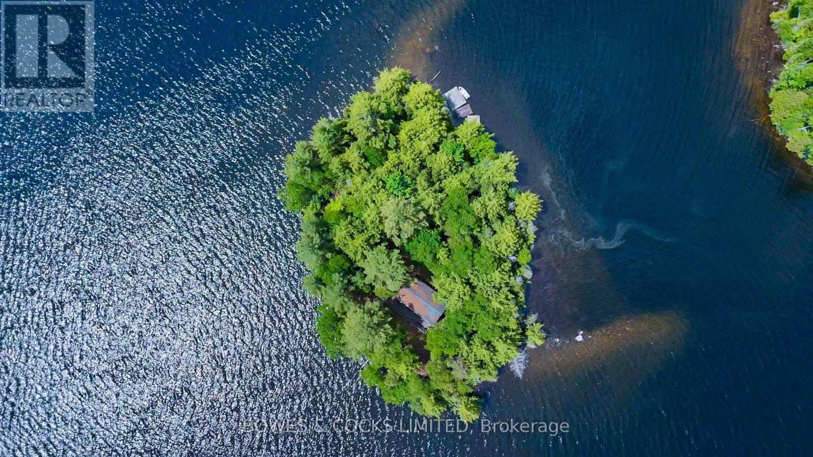 Photo 12 of 1117 Thunderbird Lane Birch Island, Highlands East ON
