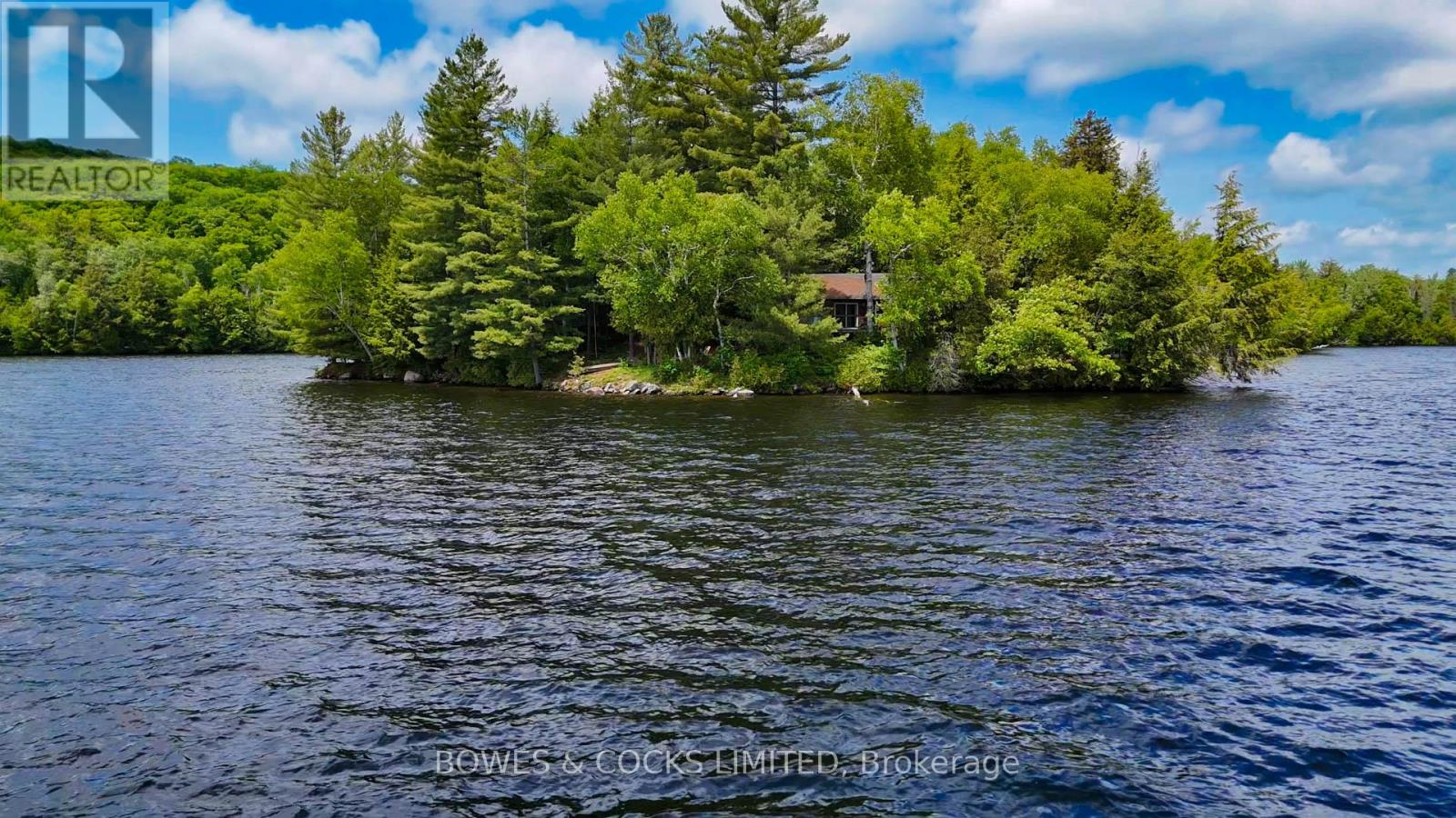 Photo 45 of 1117 Thunderbird Lane Birch Island, Highlands East ON