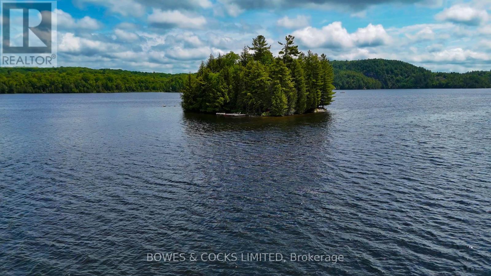 Photo 43 of 1117 Thunderbird Lane Birch Island, Highlands East ON