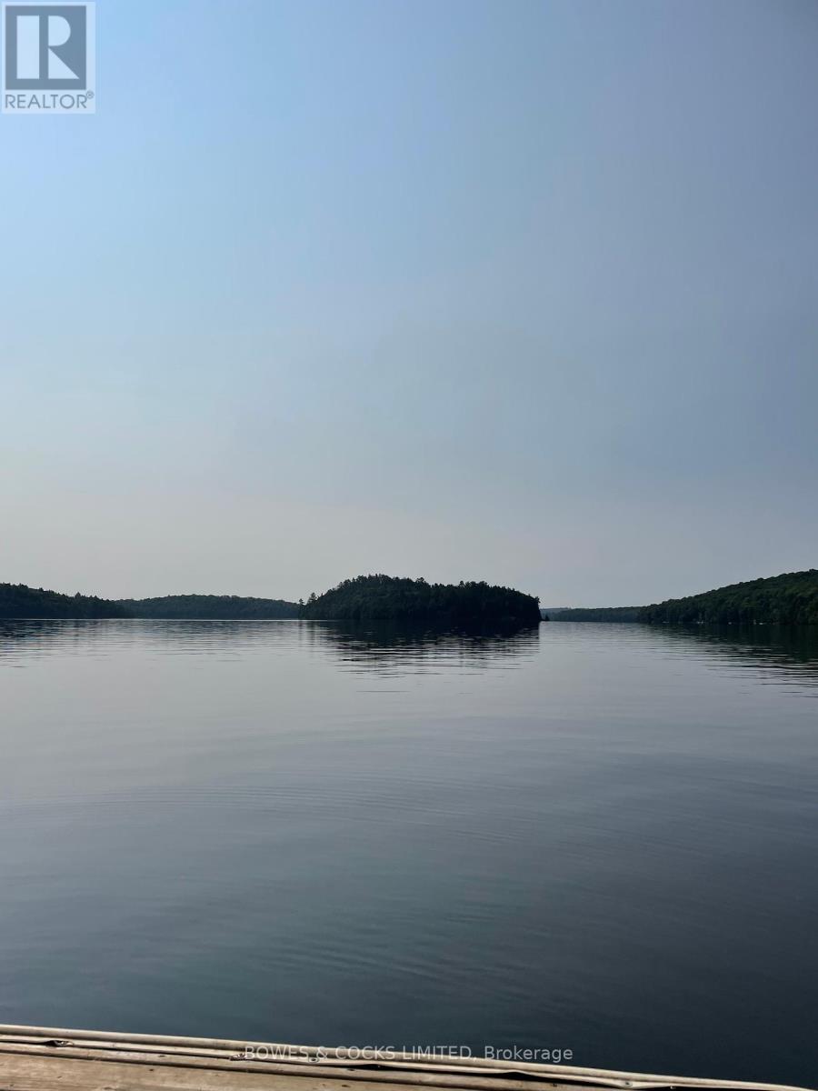 Photo 5 of 1117 Thunderbird Lane Birch Island, Highlands East ON