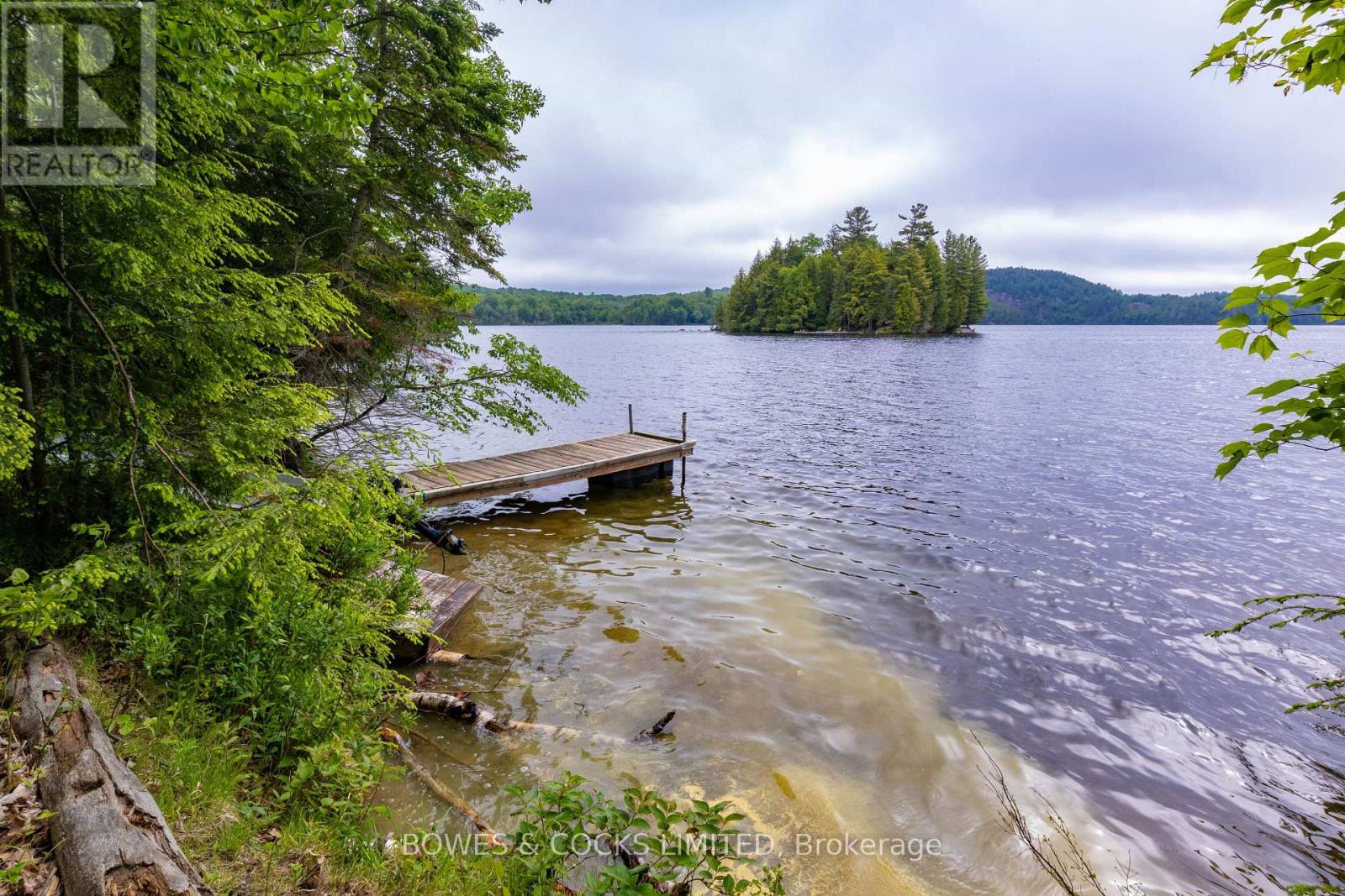 Photo 46 of 1117 Thunderbird Lane Birch Island, Highlands East ON
