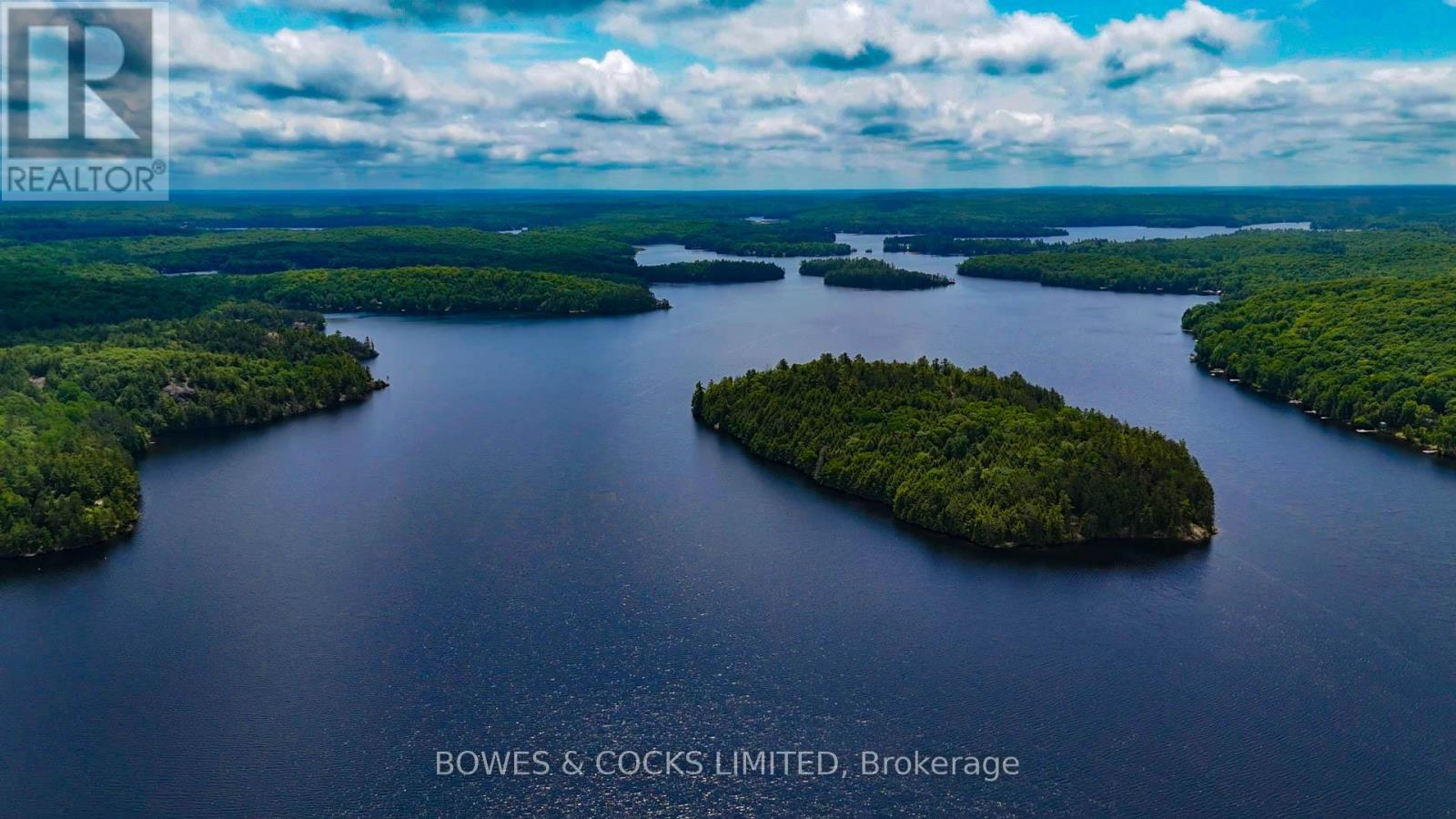 Photo 6 of 1117 Thunderbird Lane Birch Island, Highlands East ON