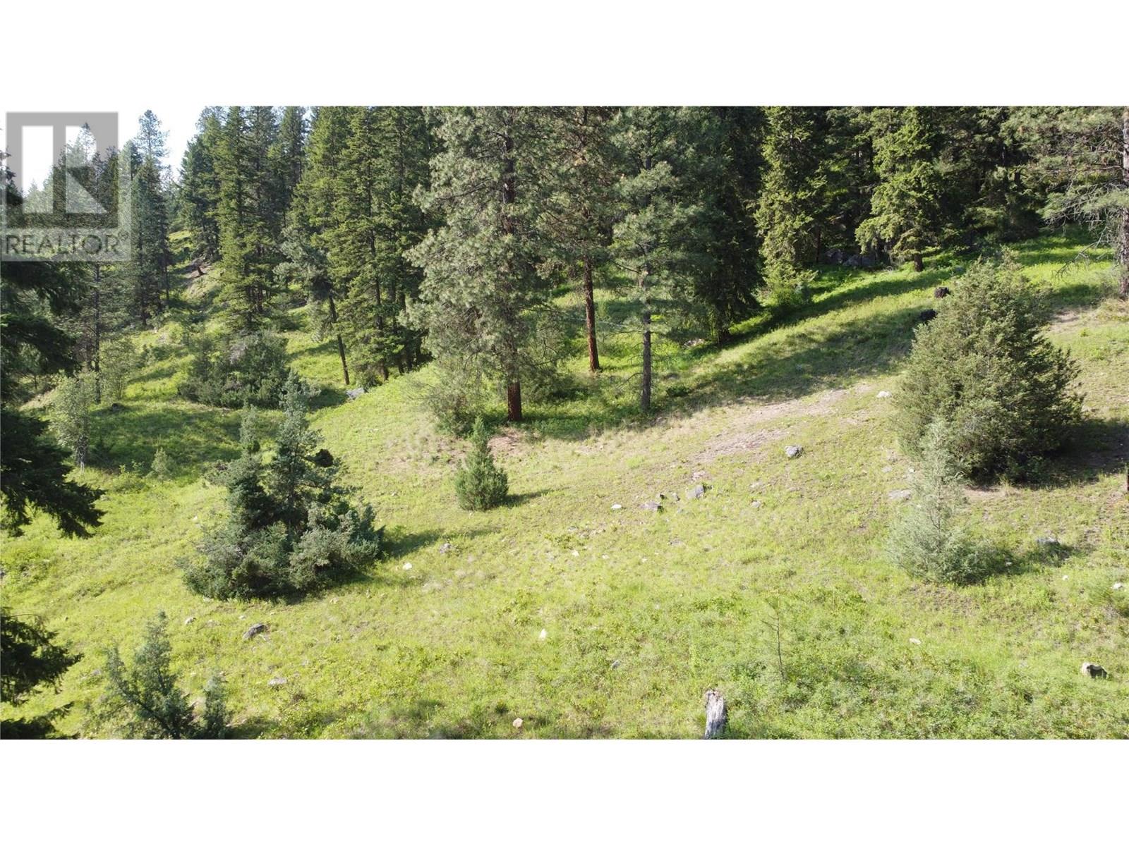 40 Acres Shuswap River Drive, Lumby
